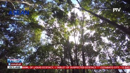 #ASEAN101: Bisitahin ang pinagmamalaking heritage park ng bansang Laos