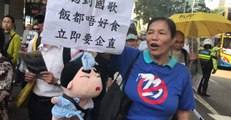 Hong Kong Pro-Democracy Campaigners Boo Chinese National Anthem During March