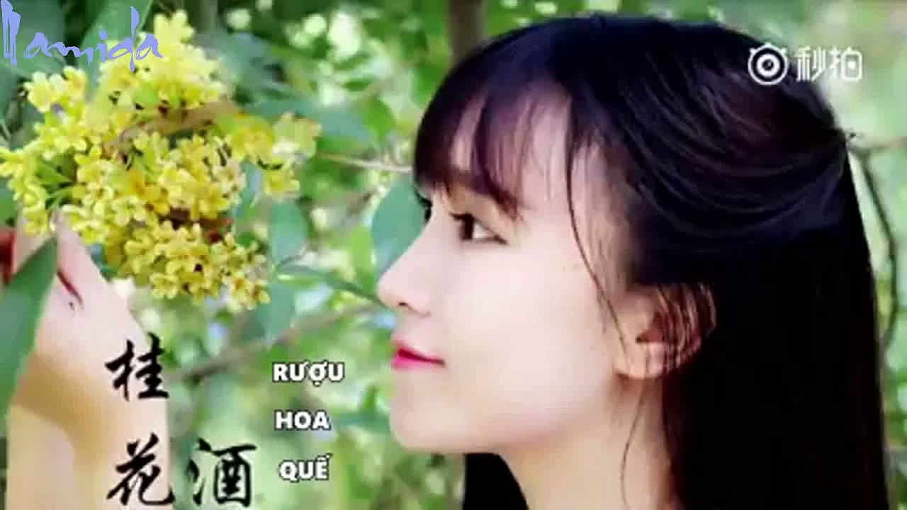 Quế Hoa Tửu|Lý Tử Thất VietSub
