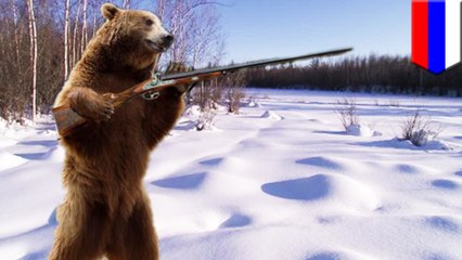 Brown bear steals rifles from hunter, goes rogue in Siberia