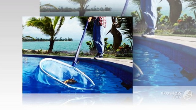An Award Winning Pool Cleaning Service Provider in Boca Raton