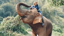 ميشيل كرم تشاركك تجربتها الاستثنائية مع الفيلة في المثلث الذهبي بآسيا
