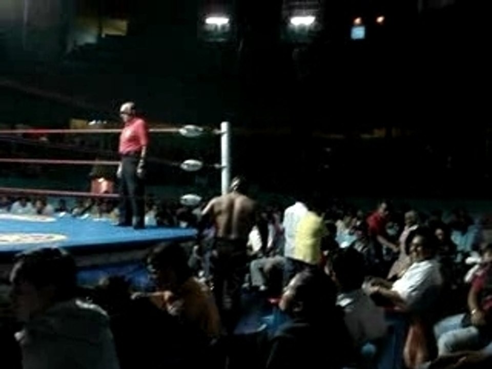 Lucha libre