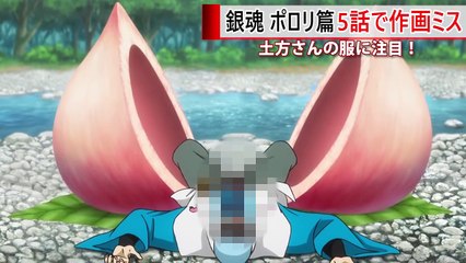 銀魂 ポロリ篇 5話 333話 土方さんに作画ミスが見つかる！-PPnT-0MZyss