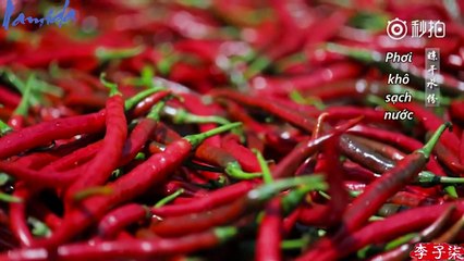 [Vietsub] Lý Tử Thất ---- Linh hồn của món ăn Tứ Xuyên _Tương ớt đậu tằm-- 川菜之魂——豆瓣酱。