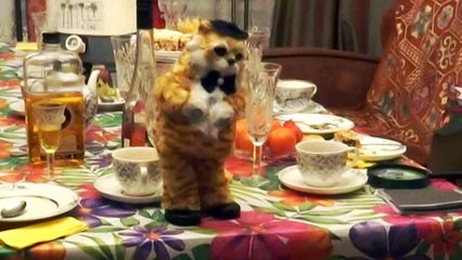 Котик для Люси