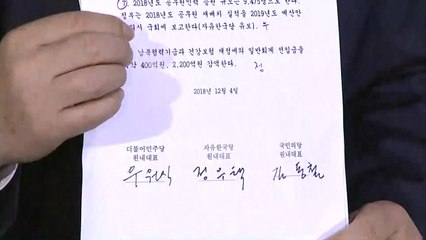 예산 합의 불 지핀 '개헌'...민주·국민의당 공조 / YTN