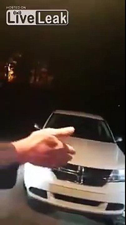 Pitbull attacks car