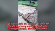 Kinh hoàng cá sấu dài 5 mét truy sát dân làng ở Indonesia