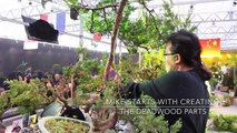 Mike Siow styles a Juniper Bonsai at BWB-DaP76Baw1Vw