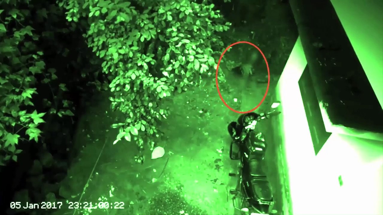 監視カメラに映った本物の 幽霊 映像 Part 52