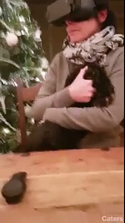 Tellement prise dans son jeu en réalité virtuelle qu'elle tient son chien à l'envers