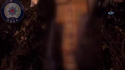 Van'da Ağaç Dallarının Arasında 40 Bin Paket Kaçak Sigara Ele Geçirildi