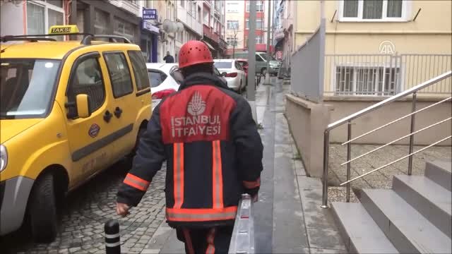 Ağaçta Mahsur Kalan Kedi, İtfaiye Ekiplerince Kurtarıldı - İstanbul