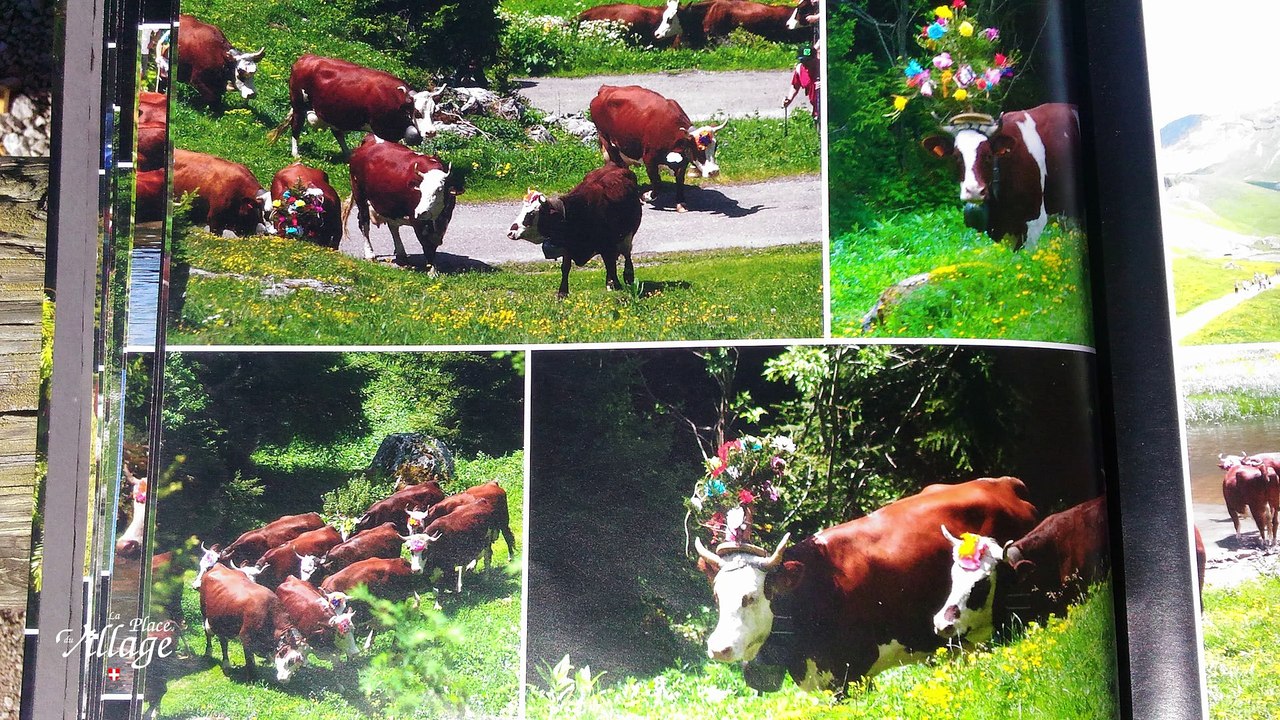 La Place du Village [S.1][E.49] Chalets de Bise (La Chapelle d’abondance-Chablais)