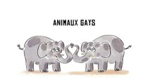 Tu mourras moins bête - Les animaux gays - ARTE