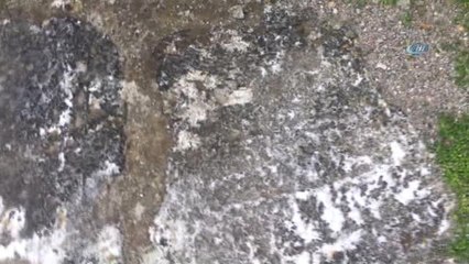 Baltacı Mehmet Paşa'nın Mezarının Türkiye'ye Getirilmesi İçin Girişim