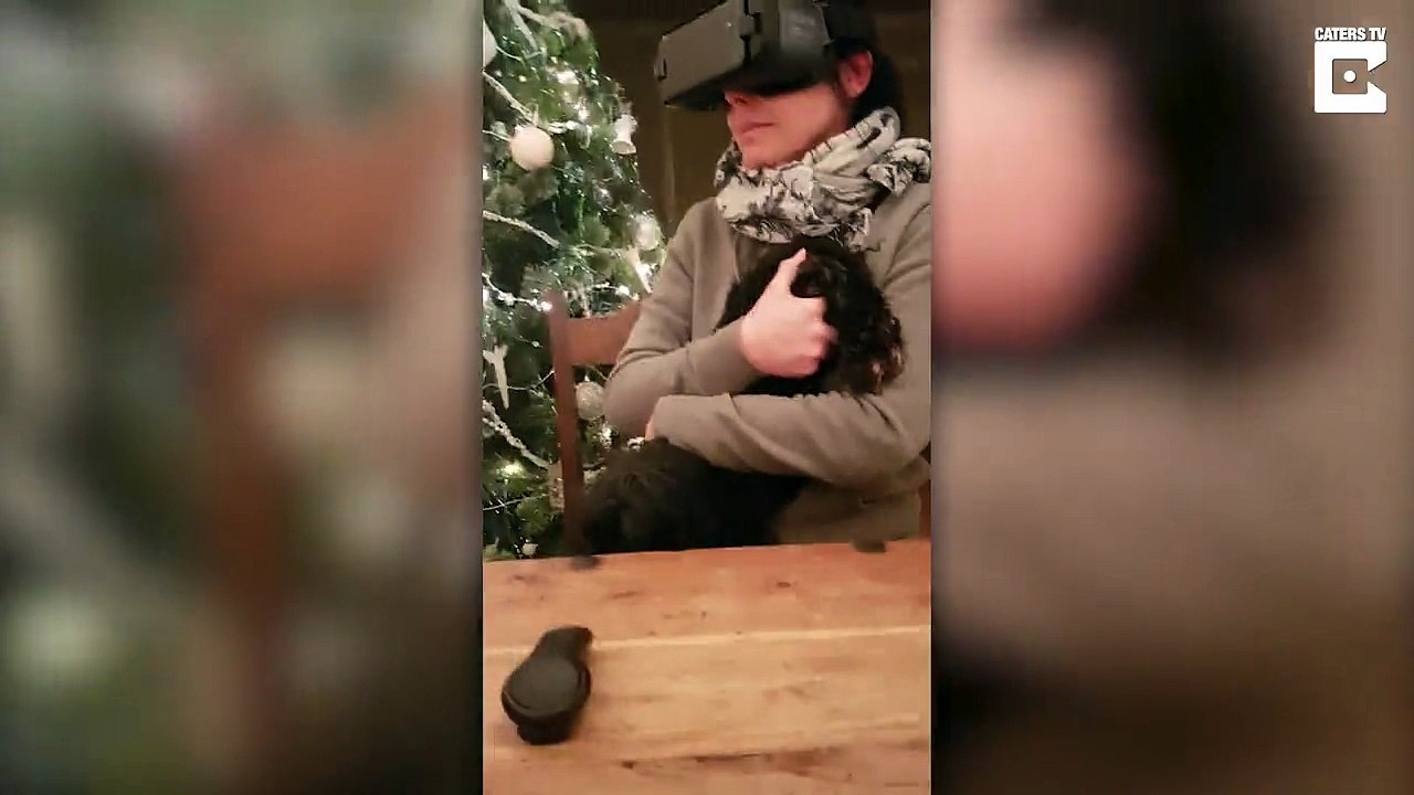 Effrayée en réalité virtuelle elle s'accroche à son chien par le derrière !