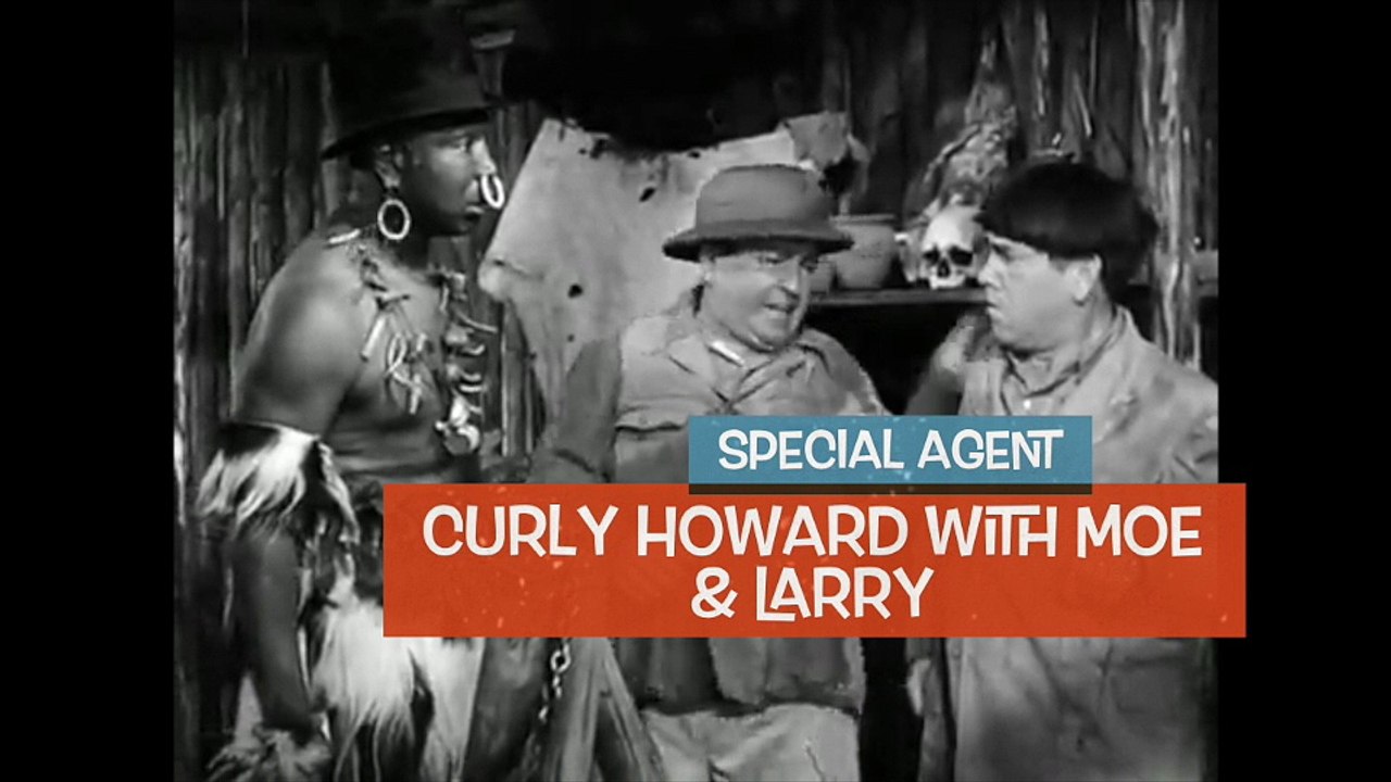 Secret Agent Curly