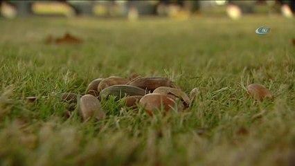 TBMM Başkanı İsmail Kahraman: " Hakikatler Hiç Bir Zaman Örtülmez, Ortaya Çıkar"