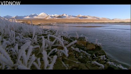 himalayan hot springs snake hunting fish