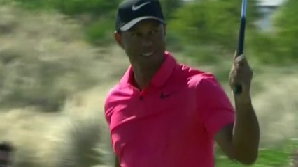 "허리통증 없었다"...타이거 우즈, 성공적 복귀 / YTN