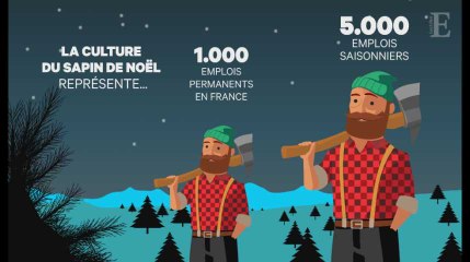 Près d'un foyer sur quatre achète un sapin Noël en France