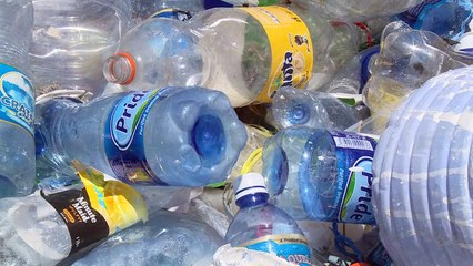 Sea turtles threatened by humanity's plastic binge