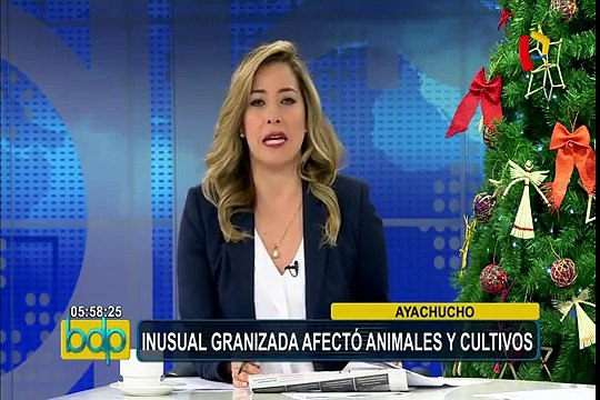 Ayacucho: inusual granizada afectó animales y cultivos en Huanta
