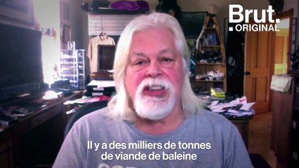 "Nous en avons filmé une qui a mis 25 minutes à mourir" : Sea Shepherd dénonce l’atrocité de la pêche à la baleine
