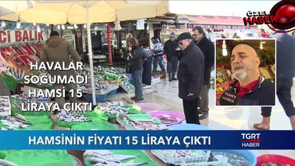 Hamsinin Fiyatı 15 Liraya Çıktı