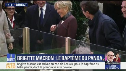 Brigitte Macron et le bébé panda : "Ce n'est pas une peluche"