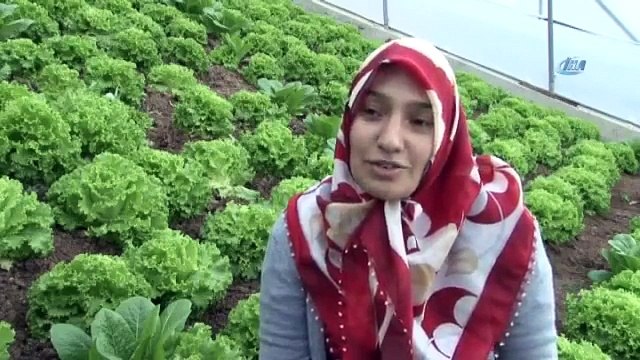 Bu Eğimli Arazide Seracılık Yapıyorlar