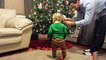 Determined Toddler Decorates the Christmas Tree