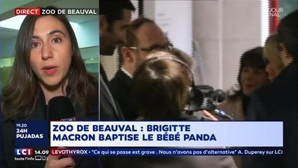 Voilà pourquoi la première dame chinoise n'était pas avec Brigitte Macron à la cérémonie du panda