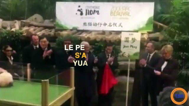 Quelle est la signification de Yuan Meng , le prénom donné par Brigitte Macron au panda du Zoo de Beauval ?