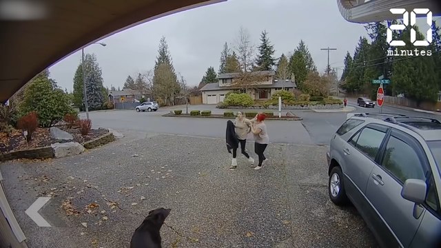 Cette voleuse passe un mauvais 1/4 d'heure - Le Rewind du lundi 4 décembre 2017