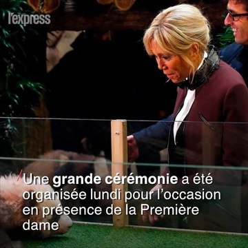 Brigitte Macron a baptisé le bébé panda du zoo de Beauval Yuan Meng