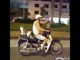 Motorcyclist rides with four cats as passengers | Motorbike Monday