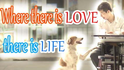 Where there is love there is life