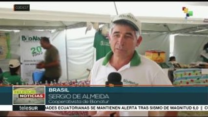 Celebra en brasil MST 20 años de cuidar la semilla orgánica