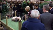 France's Brigitte Macron reveals baby panda's name: Yuan Meng