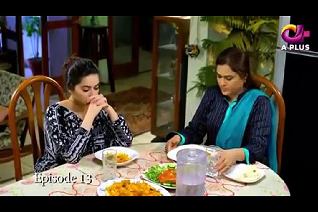 Dil Nawaz - Episode 13