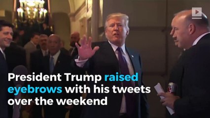 Trump's Lawyer Says a President 'Cannot Obstruct Justice'