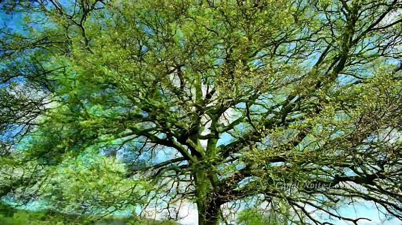 Joe Dassin - Sylvie (German Version) Clip Relax