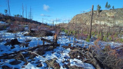 Okanagan - 중절가능한병원 [낙태수술 aaww2277@gmail.com  ~메일로 문의하세요.] 중절수술비용