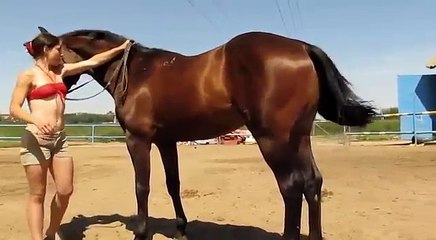 Girl Try To Horse  Riding
