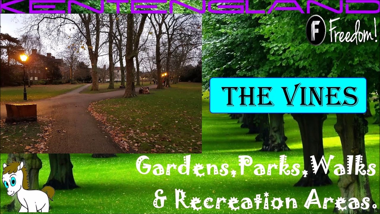The Vines