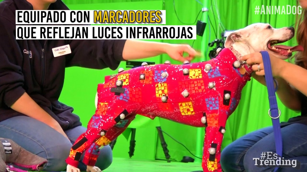 WOW ¡Efectos especiales! Así se logra la animac...