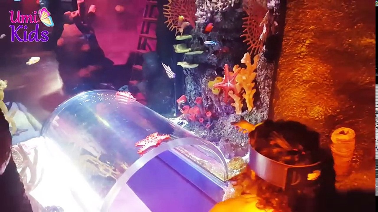 Mira ve Ege ile Sea Life Akvaryum Gezisi | Vlog | UmiKids